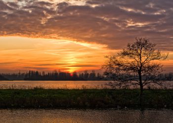 Foto’s en maquette over Watersnood in Barendrecht