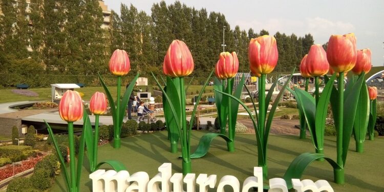 Video: Sneakpreview nieuwe maquette van Rotterdams gebouw in Madurodam