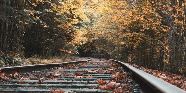 Kinderen ontdekken modelspoor bij de expositie ‘Samen vooruit op station Ede-Wageningen’